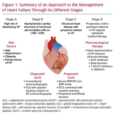 severe lv systolic impairment|what is severe lv impairment.